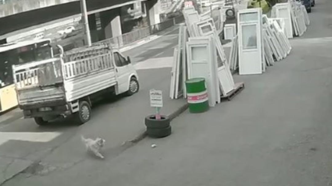 K&ouml;pekten ka&ccedil;arken otob&uuml;s&uuml;n altında kaldı! Metrelerce s&uuml;r&uuml;klenen &uuml;niversite &ouml;ğrencisi yaşam m&uuml;cadelesi veriyor 2