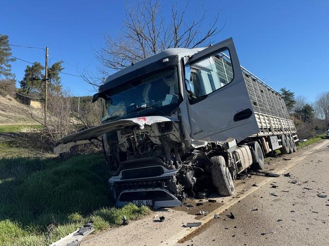 Bolu da tırla &ccedil;arpışan otomobilin s&uuml;r&uuml;c&uuml;s&uuml; &ouml;ld&uuml; 1