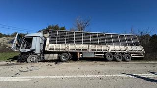 Bolu'da tırla çarpışan otomobilin sürücüsü öldü