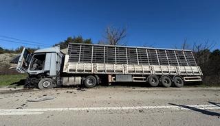 Bolu'da tırla &ccedil;arpışan otomobilin s&uuml;r&uuml;c&uuml;s&uuml; &ouml;ld&uuml;