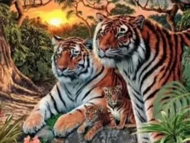 Ka&ccedil; kaplan g&ouml;r&uuml;yorsunuz? 100 Kişiden 99&rsquo;u yanlış cevap veriyor