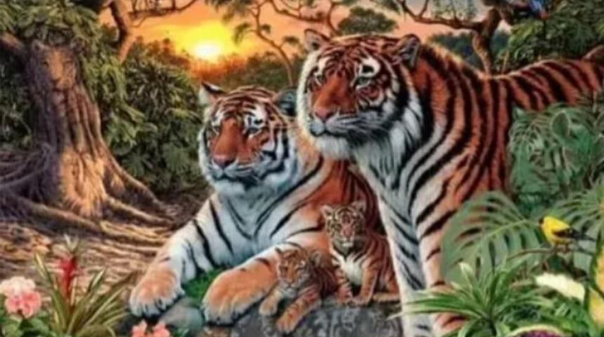 Ormanda ka&ccedil; kaplan g&ouml;r&uuml;yorsunuz? 100 Kişiden 99&rsquo;u yanlış cevap veriyor