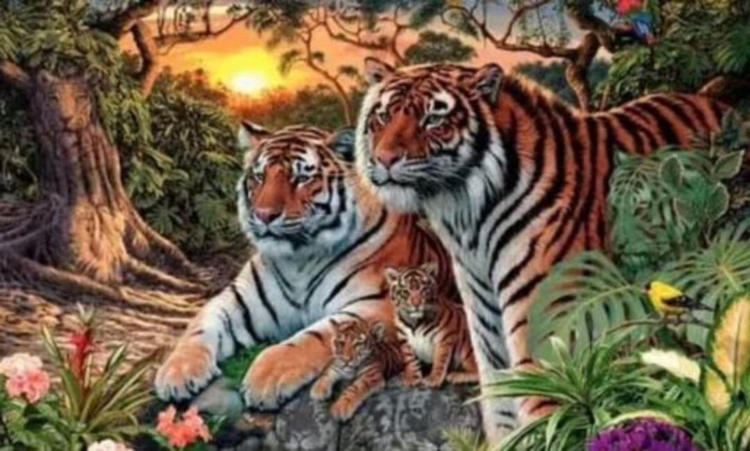 Ormanda ka&ccedil; kaplan g&ouml;r&uuml;yorsunuz? 100 Kişiden 99&rsquo;u yanlış cevap veriyor 1