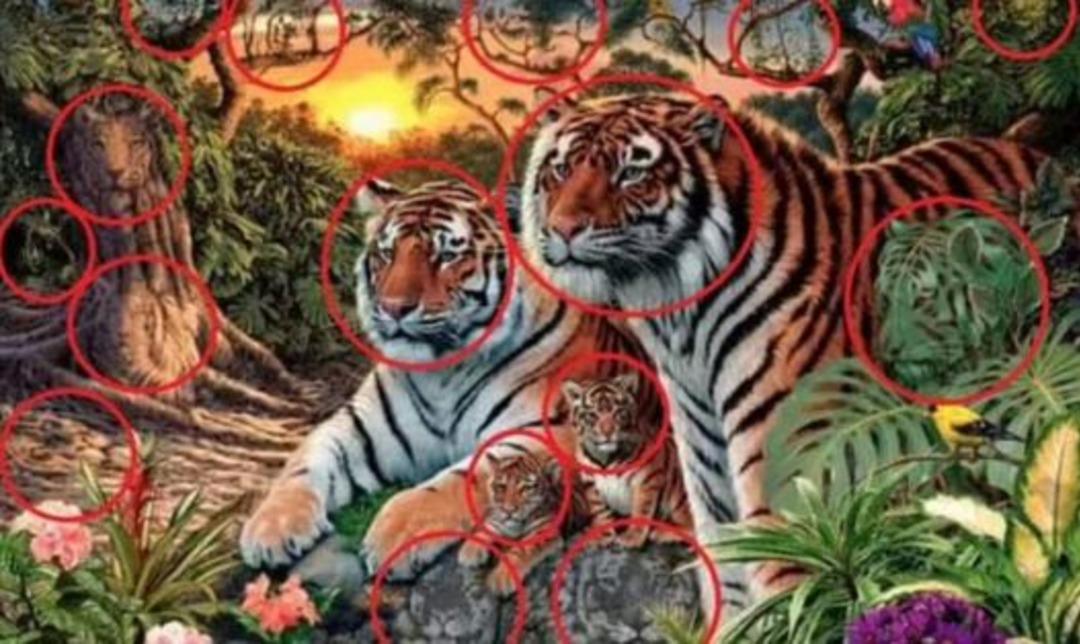 Ormanda ka&ccedil; kaplan g&ouml;r&uuml;yorsunuz? 100 Kişiden 99&rsquo;u yanlış cevap veriyor 2