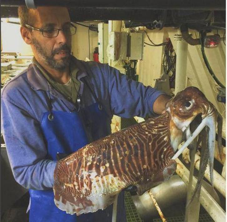 Böyle dev balık görmediniz G2