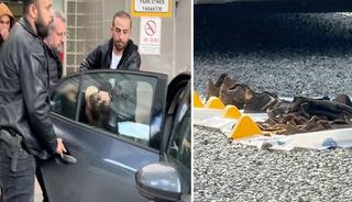 Aydın'da yaşlı &ccedil;ift evinde &ouml;l&uuml; bulunmuştu... Katil zanlısı yakalandı: Kıyafetleri dere kenarında bulundu