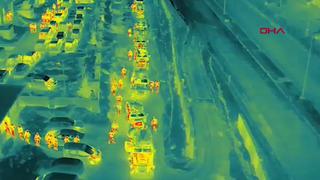 Bitlis'te tefecilere operasyon! Tutuklandılar