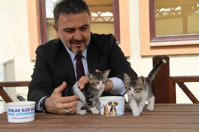 Sokak hayvanlarının makam aracı