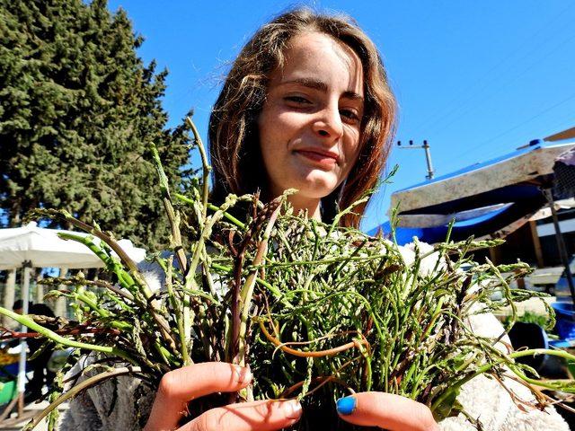 9. Alaçatı Ot Festivali’nin teması: ’Kuşkonmaz - Sarmaşık’