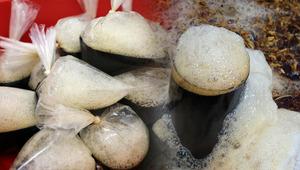 Fırat Nehri'nden gelen siyah mucize! Ramazanda susuzluğu gideriyor