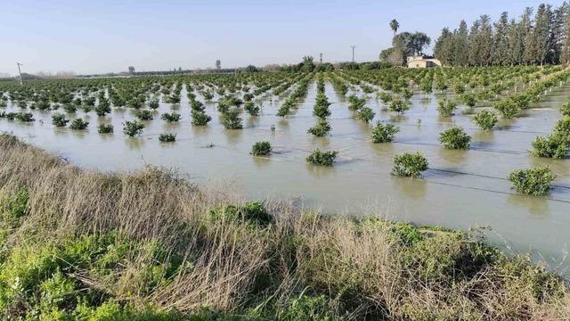Adana da tarlalar su altında kaldı 1