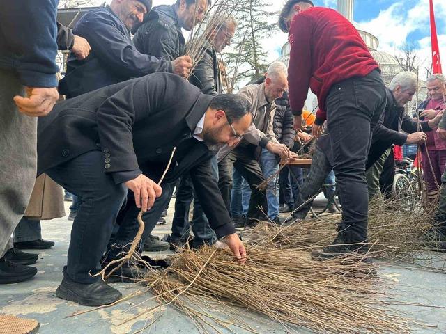 Dağıtılan 2 bin meyve fidesi toprakta hayat bulacak 2