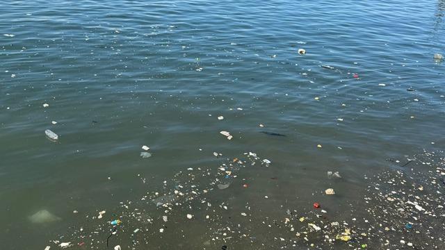 Zonguldak sahilinde çöp tepkisi