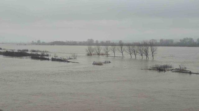 Meriç Nehri’nden taşan sular yaşam alanlarına kadar ulaştı 4