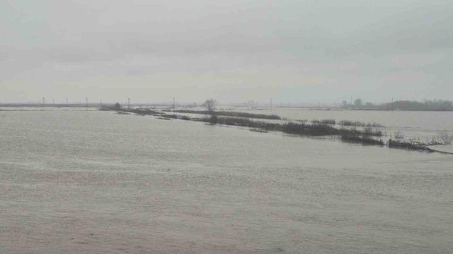 Meriç Nehri’nden taşan sular yaşam alanlarına kadar ulaştı 3