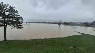 Meriç Nehri’nden taşan sular yaşam alanlarına kadar ulaştı