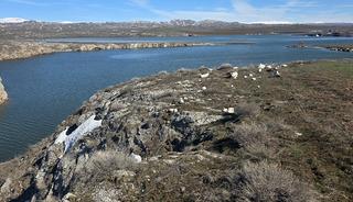 Hafik Lota G&ouml;l&uuml;'nde doluluk oranı kar sularıyla son yılların en y&uuml;ksek seviyesine ulaştı