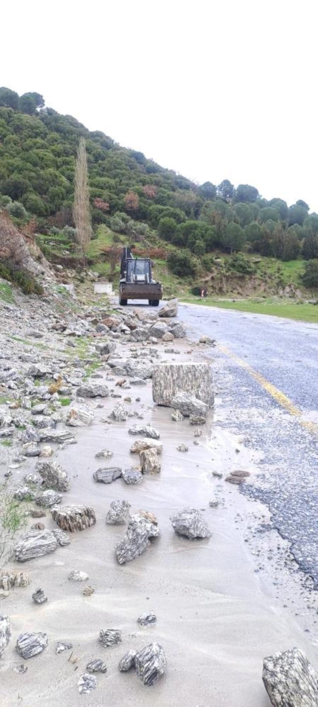 Yağış sonrası topraktan kaydı, kayalar yolu kapattı 2
