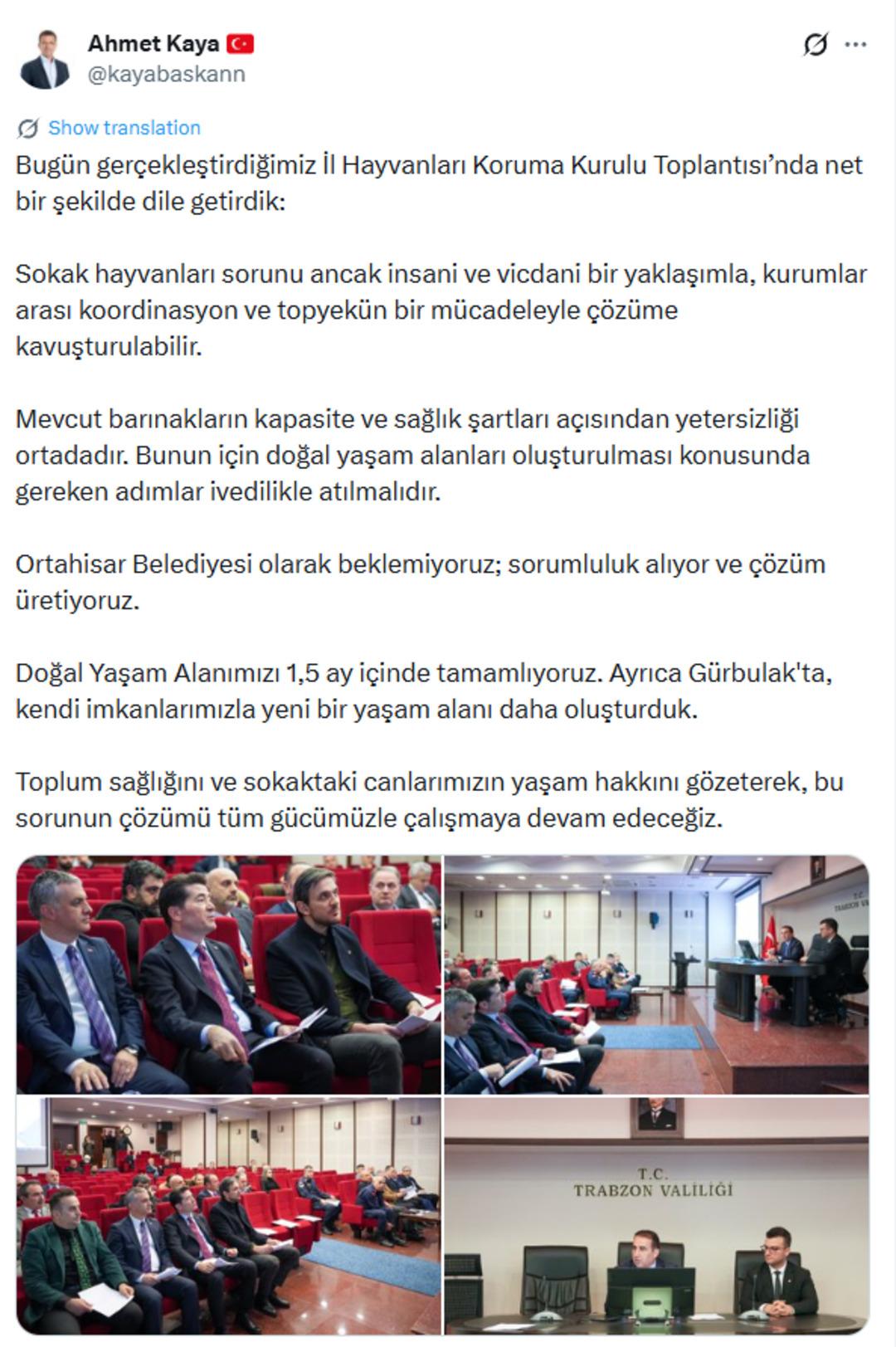 Trabzon&rsquo;da sokak k&ouml;pekleri tartışması! B&uuml;y&uuml;kşehir: &ldquo;Kanun maddesi belli Ortahisar sorumlu&rdquo; 2