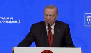 6 Mart'ta hesaplara yatıyor! Cumhurbaşkanı Erdoğan &ccedil;ift&ccedil;ilere destek projelerini a&ccedil;ıkladı: "T&uuml;rkiye'de hi&ccedil;bir zaman bitmeyecek"