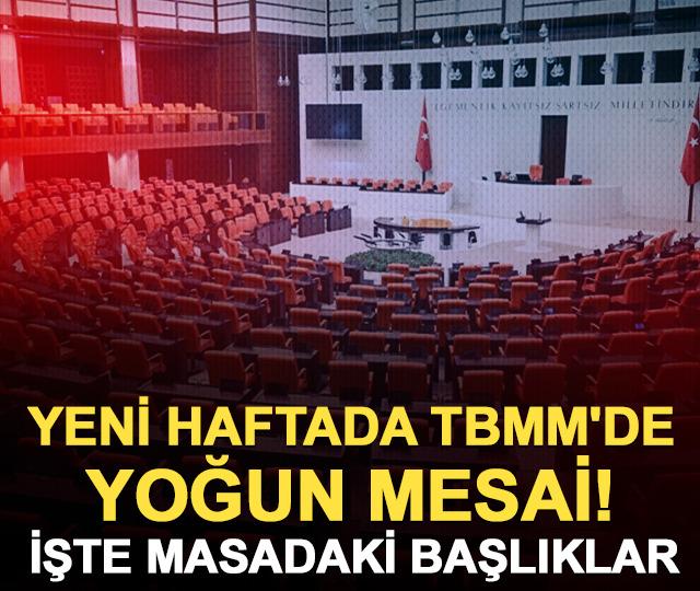 Yeni haftada TBMM'de yoğun mesai! İşte masadaki başlıklar