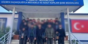 Hayvan dışkısının altından 19 yabancı &ccedil;ıktı!