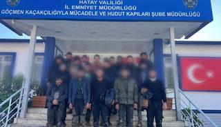 Hayvan dışkısının altından 19 yabancı &ccedil;ıktı!