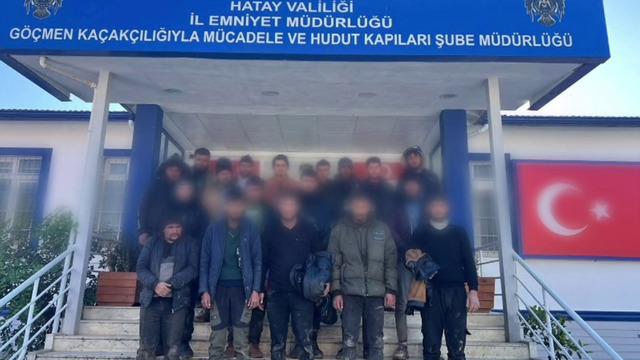 Hayvan dışkısının altından 19 yabancı çıktı!