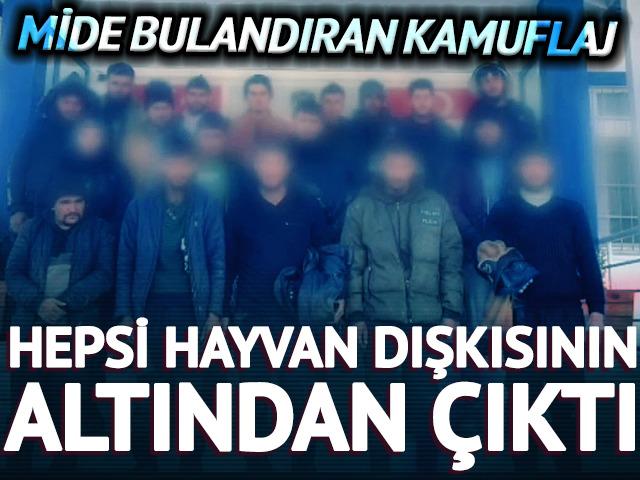 Hayvan dışkısının altından 19 yabancı &ccedil;ıktı!