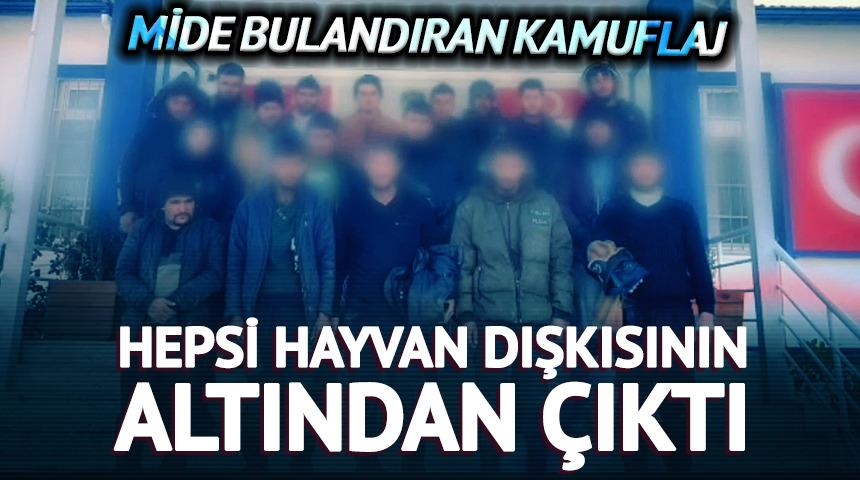 Hayvan dışkısının altından 19 yabancı &ccedil;ıktı!