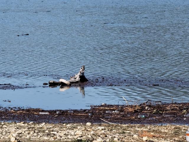 Kozan Barajı&rsquo;nda doluluk oranı y&uuml;zde 28&rsquo;e y&uuml;kseldi 3