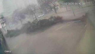 Fırtına dev ağa&ccedil;ları k&ouml;k&uuml;nden s&ouml;kt&uuml;, o anlar kameraya yansıdı