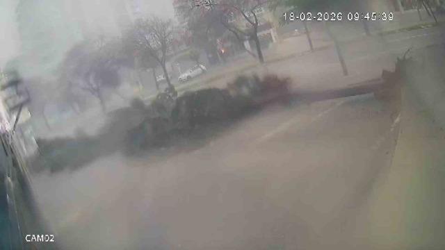 Fırtına dev ağaçları kökünden söktü, o anlar kameraya yansıdı