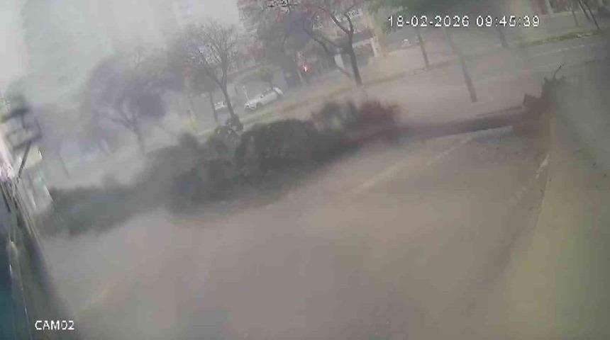 Fırtına dev ağa&ccedil;ları k&ouml;k&uuml;nden s&ouml;kt&uuml;, o anlar kameraya yansıdı