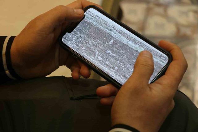 Sivas&rsquo;ta yavru vaşak g&ouml;r&uuml;nt&uuml;lendi 4