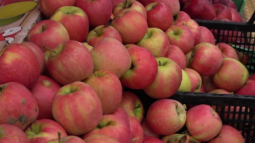 Kilosu 150 TL: Hakiki olduğunu kanıtlamak i&ccedil;in test edip m&uuml;şteriye satıyorlar 5