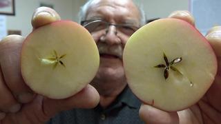 Son dakika: Kilosu 150 TL: Hakiki olduğunu kanıtlamak i&ccedil;in test edip m&uuml;şteriye satıyorlar