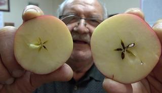 Kilosu 150 TL: Hakiki olduğunu kanıtlamak i&ccedil;in test edip m&uuml;şteriye veriyorlar