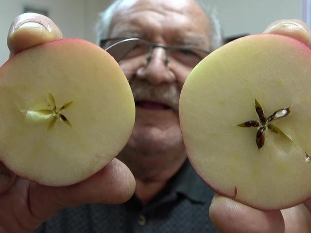 Kilosu 150 TL: Hakiki olduğunu kanıtlamak i&ccedil;in test edip m&uuml;şteriye veriyorlar