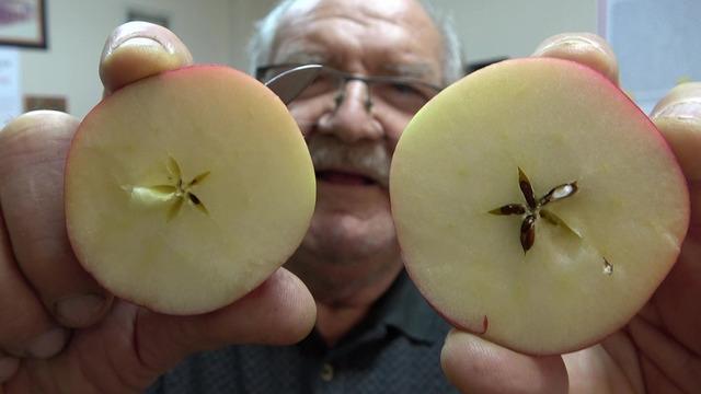 Kilosu 150 TL: Hakiki olduğunu kanıtlamak için test edip müşteriye veriyorlar