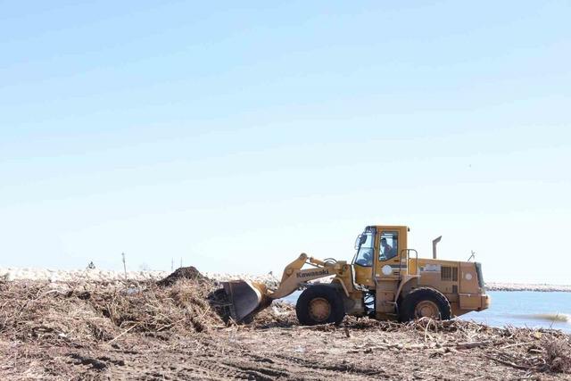 Mersin sahillerinde selin denize taşıdığı balçıklar temizleniyor 1