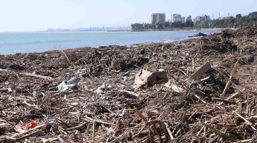 Mersin sahillerinde selin denize taşıdığı bal&ccedil;ıklar temizleniyor