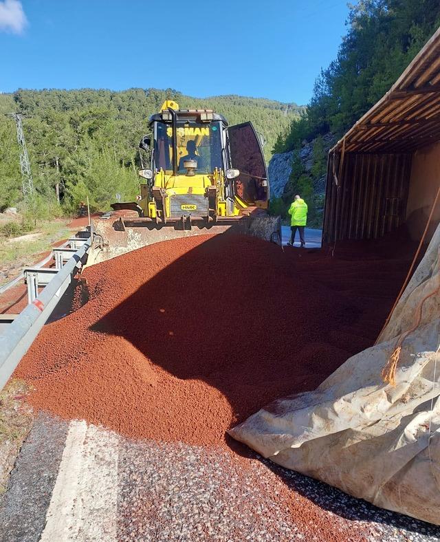 Peyzaj malzemesi y&uuml;kl&uuml; tır devrildi 3