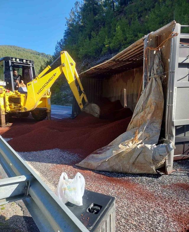 Peyzaj malzemesi y&uuml;kl&uuml; tır devrildi 1