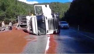 Peyzaj malzemesi y&uuml;kl&uuml; tır devrildi