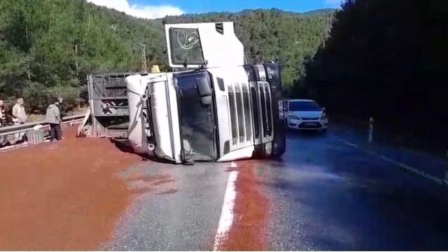 Peyzaj malzemesi yüklü tır devrildi