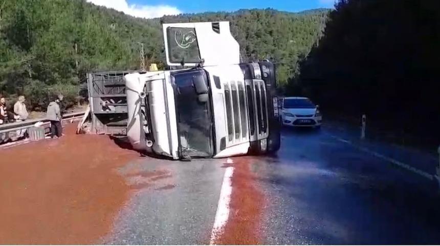 Peyzaj malzemesi y&uuml;kl&uuml; tır devrildi