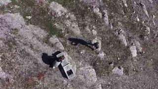 Habur’da ele geçirilen 38 kınalı keklik doğaya salındı