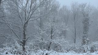 Çanakkale'nin yüksek kesimlerinde kar etkili oldu