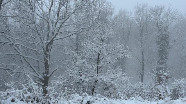 Çanakkale'nin yüksek kesimlerinde kar etkili oldu